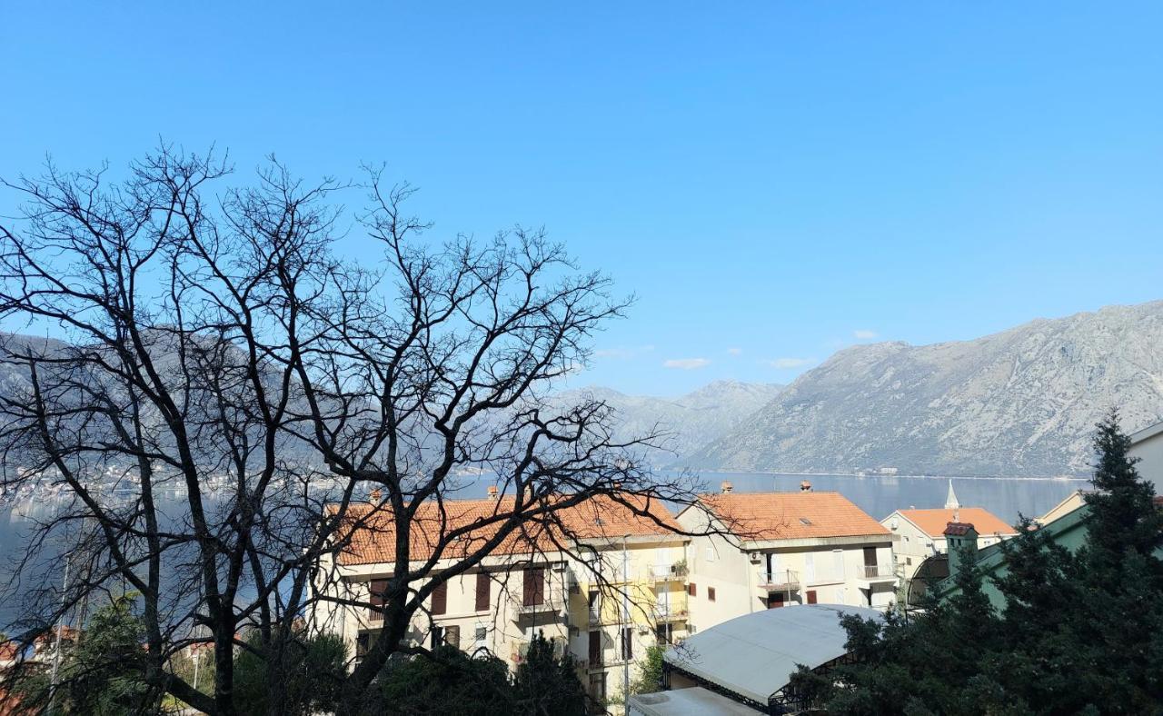 Appartement Apartman - Dobrota Sun à Kotor Extérieur photo